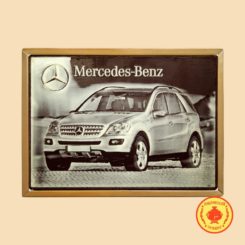 Mercedes-Benz (700 гр.)
