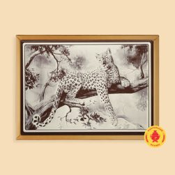 Леопард (700 гр.)
